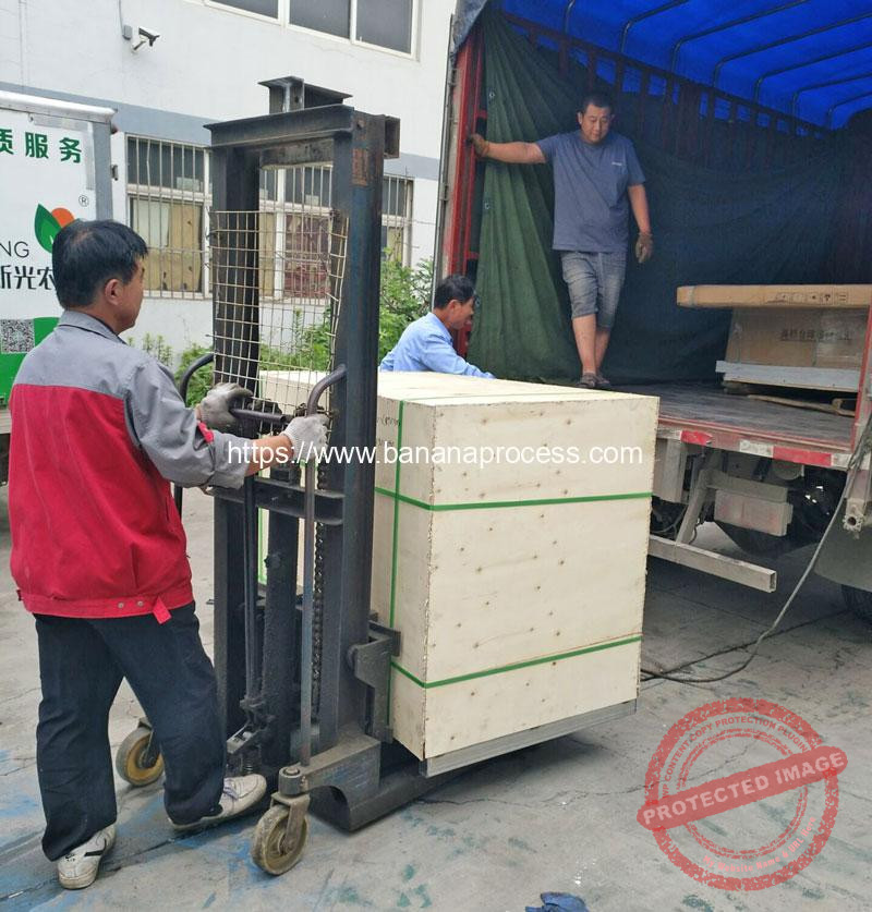 Auto-Feeding-Type-Green-Banana-Peeling-Machine-for-Peru-Market